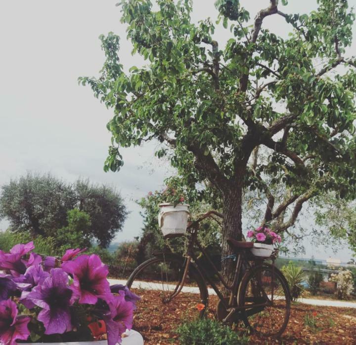 Trulli Di Nonna Palma Villa Locorotondo Luaran gambar